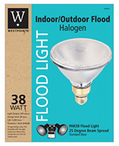 63201   WP FLD Bulb Par38 38W