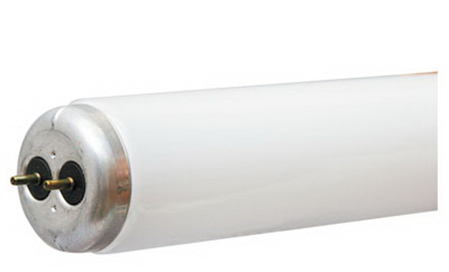 WP 48" 34W CW Fluo Tube