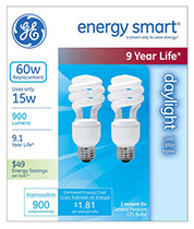 GE 2PK 14W Day CFL Bulb