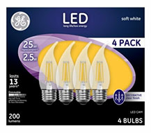 GE4PK 2.5W SW CAM Bulb