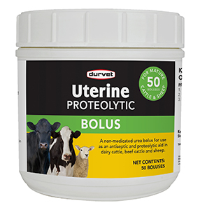 14200   Uterine Bolus 50CT