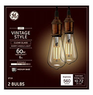 36566&nbsp;&nbsp; GE Bulb 6W WW ST19 2PK
