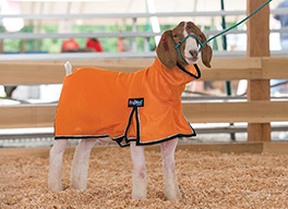 35-3559-B7 PROCOOL GOAT BLANKET