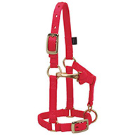 35-7004   Halter ORIG SM 1" RED