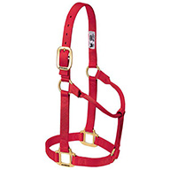 35-7005   Halter ORIG AV 1" RED