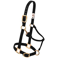 35-7035   Halter ADJ AVG 1" BLK