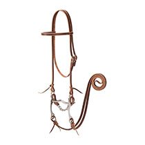 20-0348-DKBRIDLE HORSE SUNSET