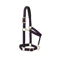 35-7735   Halter PADDED AV PURP