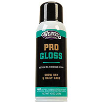 69-2200   Pro Gloss Finish Spray