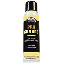 69-2201   Procharge Recond Spray