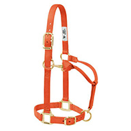 35-7034-OR HALTER 1"AD/CHN THT S