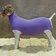 35-3571-PU MD COTTON GOAT TUBE