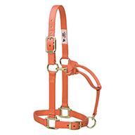 35-6536 ELITE HALTER NYLON LG CL