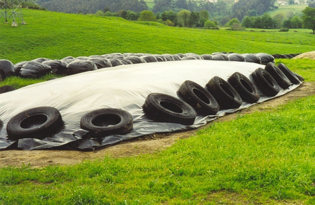 86562M  SILAGE SHT 50'x150'5ML