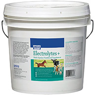 7408-0321 ELECTROLYTES PLUS 10LB