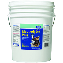 7408-0216 ELECTROLYTES PLUS 6LB