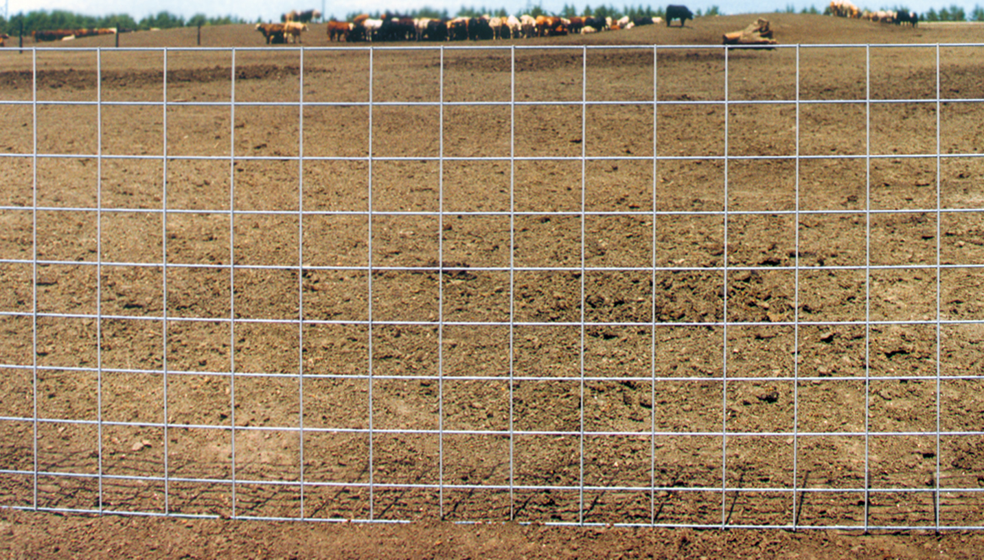 PANEL   CATTLE GALV 16'