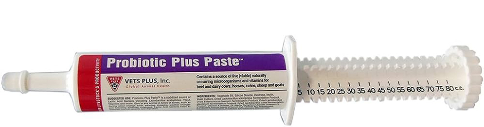 050256  Probiotic Plus Paste 80c