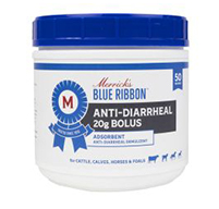 970109  Anti-Diarrheal 20g 50CT