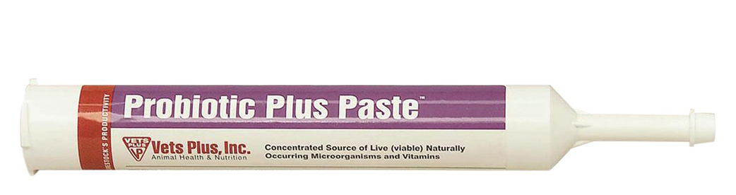 40-601  VP Probiotic Paste 300ml