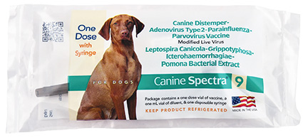 04-111491 Canine Spectra 5 W/SYR