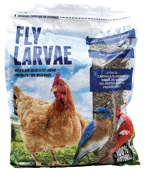 DBSFL30F  Fly Larvae 30oz