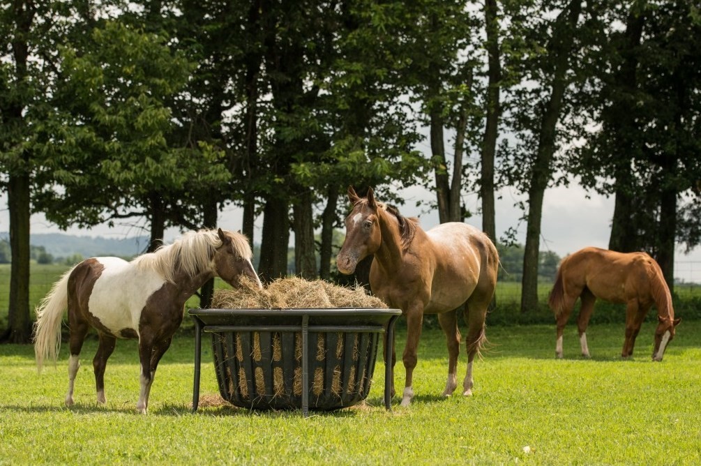 EHB     Horse Hay Basket