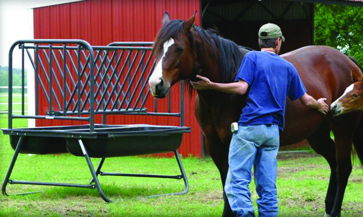 PHFH    Pasture Horse Feeder