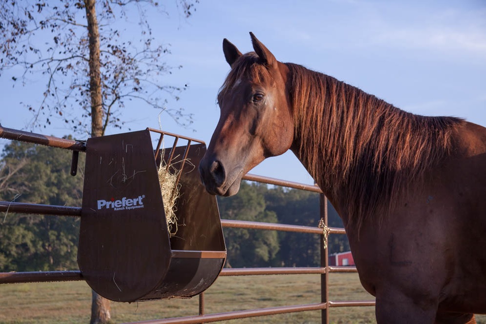 HGFBN   HAY AND GRAIN FEEDER