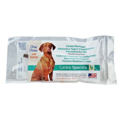 04-15086  Canine Spectra 6 W/SYR