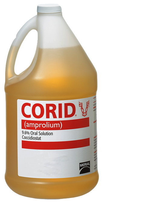 23101A  CORID SOLUTION 1 GAL