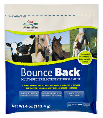 051045    Bounce Back 4oz