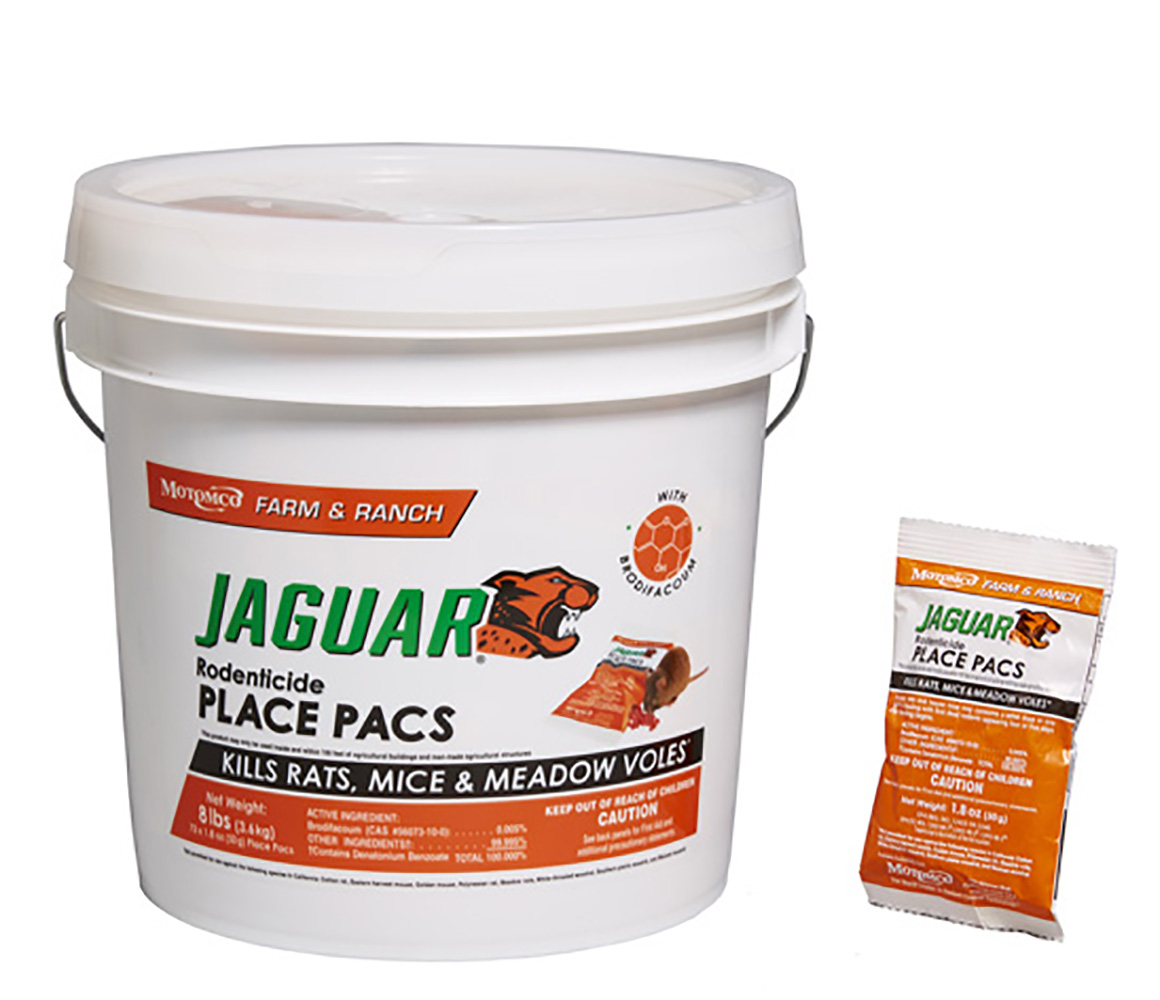 31473   Jaguar Rodent Bait 73CT